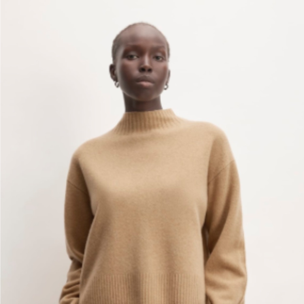 Everlane Good Merino Wool Mockneck Sweater